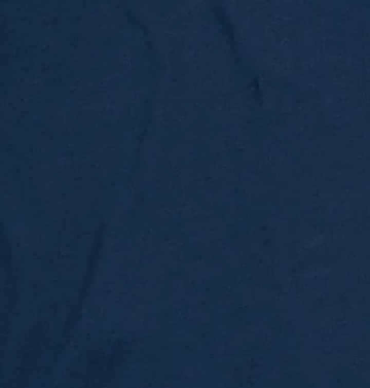 Organic Cotton T-Shirt 220g W