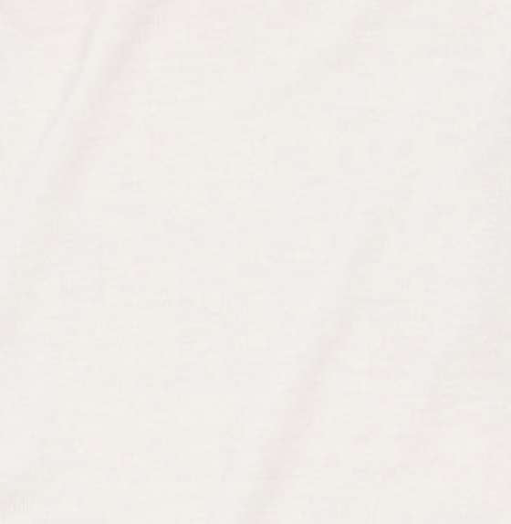 WMN MERINO SHORT SLEEVE POLO